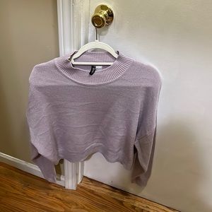 purple sweater divided by h&m